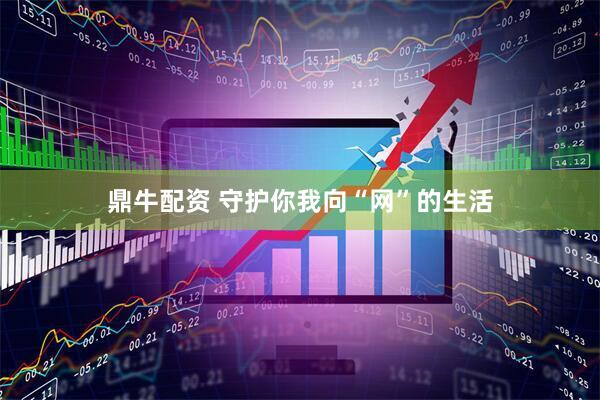 鼎牛配资 守护你我向“网”的生活