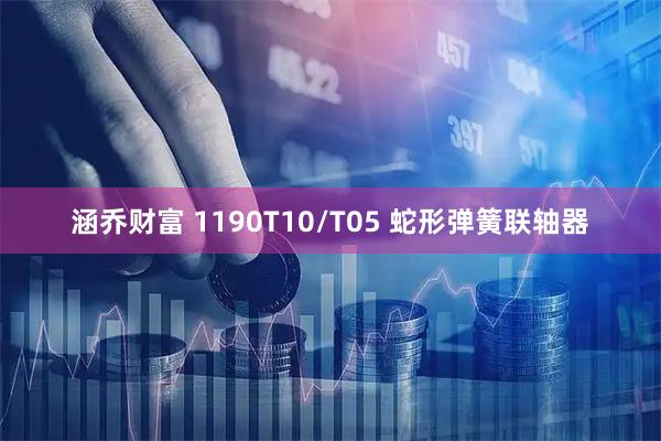 涵乔财富 1190T10/T05 蛇形弹簧联轴器