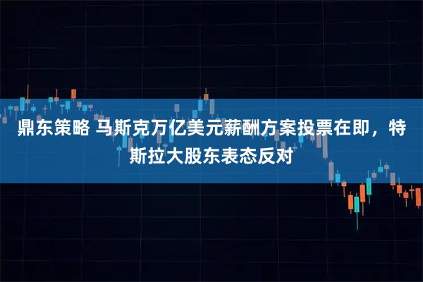 鼎东策略 马斯克万亿美元薪酬方案投票在即，特斯拉大股东表态反对