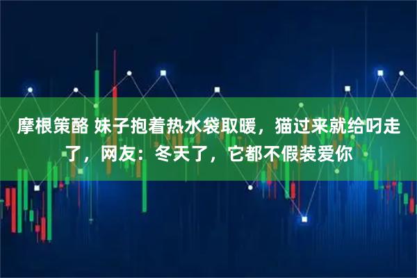 摩根策酪 妹子抱着热水袋取暖,猫过来就给叼走了,网友:冬天了,它都不假装爱你