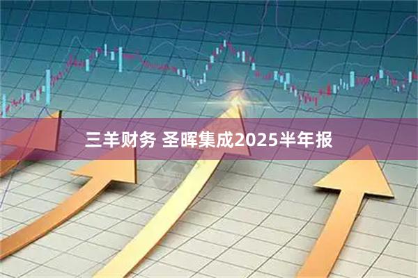 三羊财务 圣晖集成2025半年报