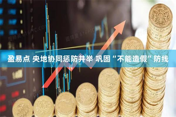 盈易点 央地协同惩防并举 巩固“不能造假”防线